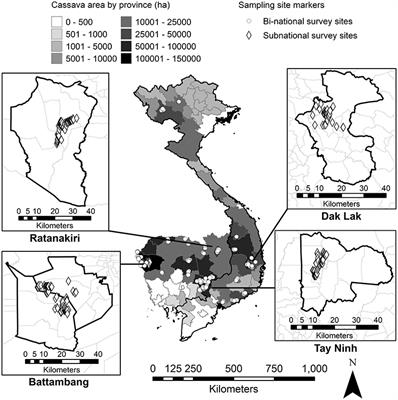 Raising the Stakes: Cassava Seed Networks at Multiple Scales in Cambodia and Vietnam